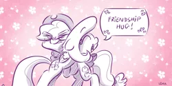 Size: 4000x2000 | Tagged: safe, artist:dilarus, banned from derpibooru, deleted from derpibooru, derpibooru import, applejack, fluttershy, earth pony, pegasus, pony, meet-the-pones, abstract background, annoyed, female, hug, mare