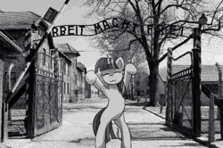 Size: 448x298 | Tagged: safe, artist:anticular, banned from derpibooru, edit, editor:drtoughlove, twibooru exclusive, twilight sparkle, pony, unicorn, ask sunshine and moonbeams, :3, animated, armband, auschwitz, bipedal, black and white, caramelldansen, dancing, eyes closed, female, gif, grayscale, mare, monochrome, nazi, solo, swastika, unicorn twilight, we are going to heil