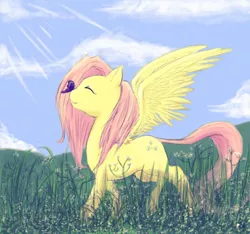 Size: 668x626 | Tagged: source needed, safe, artist:valiumangel, ponibooru import, fluttershy, butterfly, pegasus, pony, blue sky, cloud, eyes closed, female, grass, grass field, mare, outdoors, smiling, solo, spread wings, wings