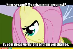 Size: 450x300 | Tagged: editor needed, source needed, safe, author:william shakespeare, edit, edited screencap, ponibooru import, screencap, fluttershy, pegasus, pony, female, fillysophy, hair over one eye, looking at you, mare, shakespeare, solo, text, winter's tale