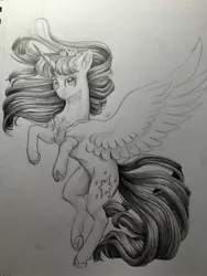 Size: 3024x4032 | Tagged: safe, artist:tillie-tmb, twilight sparkle, twilight sparkle (alicorn), alicorn, pony, female, flying, jewelry, looking at you, mare, monochrome, simple background, sketch, solo, spread wings, tiara, traditional art, underhoof, white background, wings