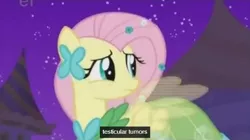Size: 636x356 | Tagged: editor needed, source needed, safe, edit, edited screencap, ponibooru import, screencap, fluttershy, pegasus, pony, the best night ever, canterlot, caption, clothes, concerned, dress, female, frown, gala dress, mare, meme, night, outdoors, solo, wat, youtube caption
