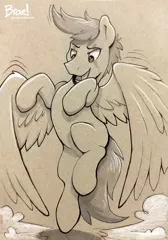 Size: 1257x1800 | Tagged: safe, artist:braeburned, oc, unofficial characters only, pegasus, pony, male, simple background, solo, traditional art