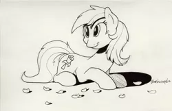 Size: 2550x1650 | Tagged: safe, artist:braeburned, roseluck, earth pony, pony, black and white, flower, grayscale, lying down, monochrome, petals, rose, solo, traditional art