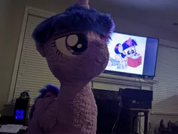 Size: 4032x3024 | Tagged: alicorn, artist:joltage, artist:sweetfilthyfun, cooking, fireplace, fluffy, high res, irl, photo, photographer:corpulentbrony, plushie, safe, standing, television, twibooru exclusive, twilight sparkle, twilight sparkle (alicorn), window