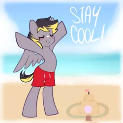 Size: 900x900 | Tagged: safe, artist:senseidezzy, deleted from derpibooru, derpibooru import, oc, oc:aero, unofficial characters only, pegasus, pony, aero replies, beach, bipedal, clothes, colt, male, misleading thumbnail, offspring, parent:derpy hooves, parent:oc:warden, parents:canon x oc, parents:warderp, sandcastle, seashell, solo, standing, summer, sunscreen, swim trunks, swimsuit