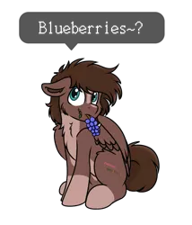 Size: 695x812 | Tagged: safe, artist:rokosmith26, oc, oc:hell berry, unofficial characters only, pegasus, pony, blue eyes, blueberry, brown mane, cheek fluff, chest fluff, chibi, cute, floppy ears, food, leaf, looking up, male, markings, short hair, short mane, simple background, sitting, solo, spread wings, stallion, tail, text, transparent background, wings