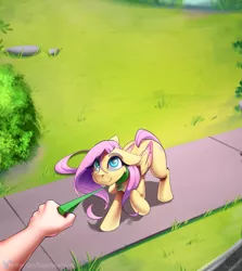 Size: 1687x1891 | Tagged: safe, artist:sugarlesspaints, fluttershy, human, pegasus, pony, arm, behaving like a dog, collar, colored wings, colored wingtips, cute, diabetes, explicit source, female, floppy ears, hand, leash, looking at you, mare, offscreen character, pet play, pov, raised hoof, shyabetes, wings