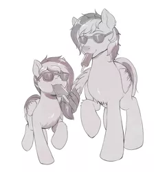 Size: 1674x1725 | Tagged: safe, artist:evomanaphy, paywalled source, oc, unnamed oc, unofficial characters only, pegasus, pony, chest fluff, duo, father and child, father and daughter, female, filly, food, male, mare, popsicle, simple background, smiling, stallion, sunglasses, white background