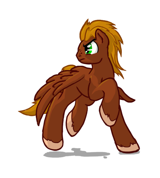 Size: 666x739 | Tagged: safe, artist:compound lift, artist:compoundlift, oc, oc:chinook, unofficial characters only, pegasus, pony, /mlp/, 4chan, fourcannon, male, simple background, solo, spread wings, stallion, transparent background, unshorn fetlocks, wings