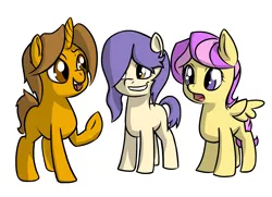 Size: 1998x1446 | Tagged: safe, artist:compound lift, artist:compoundlift, oc, oc:boris, oc:curiosity, oc:eyespy, unofficial characters only, earth pony, pegasus, pony, unicorn, /mlp/, 4chan, female, fourcannon, hair over one eye, horn, male, mare, open mouth, raised hoof, simple background, spread wings, stallion, trio, white background, wings