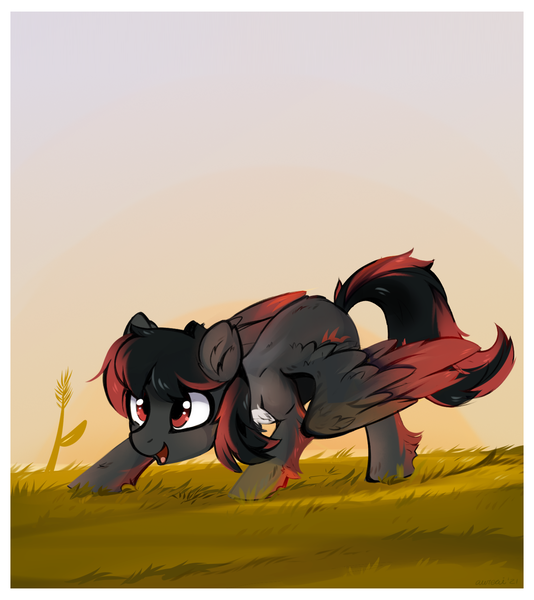 Size: 1432x1610 | Tagged: safe, artist:aureai, oc, unofficial characters only, pegasus, pony, chest fluff, colored wings, colored wingtips, ear fluff, femboy, fluffy, girly, grass, happy, leg fluff, male, open mouth, raffle prize, red and black oc, scenery, smiling, solo, spread wings, stallion, sunset, wing fluff, wings