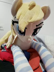 Size: 4032x3024 | Tagged: safe, photographer:ryperiour2, oc, oc:aryanne, unofficial characters only, earth pony, human, pony, clothes, irl, photo, plushie, socks