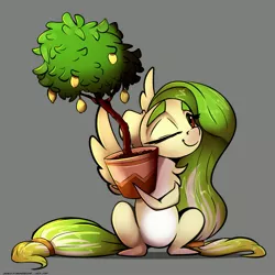 Size: 3000x3000 | Tagged: safe, artist:skitsniga, oc, oc:lemony light, unofficial characters only, pegasus, pony, female, food, gray background, lemon, lemon tree, mare, one eye closed, pale belly, potted plant, simple background, sitting, solo, spread wings, tree, wings