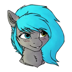 Size: 3000x3000 | Tagged: safe, artist:sorajona, derpibooru import, oc, oc:sorajona, oc:sorajona darkwing, pegasus, pony, my little pony: a new generation, adorable face, blushing, bust, chest fluff, cute, eyebrows, g5, grey fur, grin, heterochromia, image, png, portrait, scene hair, simple background, small ears, smiling, solo, transparent background, turquoise hair