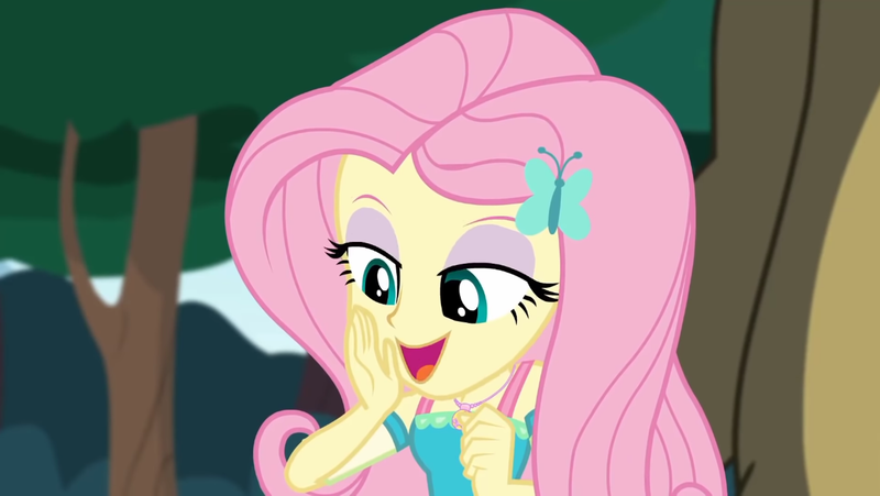 Size: 1920x1082 | Tagged: safe, derpibooru import, screencap, fluttershy, harry, equestria girls, equestria girls series, stressed in show, image, png