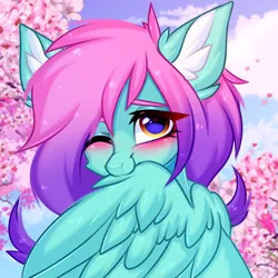 Size: 3000x3000 | Tagged: safe, artist:pesty_skillengton, derpibooru import, oc, pegasus, pony, biting, cherry blossoms, cute, female, flower, flower blossom, image, mare, png, sketch, solo, wing bite, wings