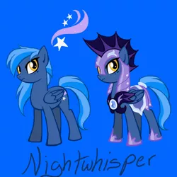 Size: 1000x1000 | Tagged: safe, artist:vaiya, derpibooru import, oc, oc:night whispers, unofficial characters only, pegasus, pony, armor, blue background, duo, female, hoof shoes, image, jpeg, mare, night guard, pegasus oc, simple background, wings