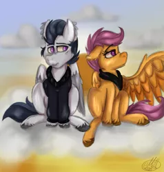 Size: 989x1040 | Tagged: safe, artist:millefaller, derpibooru import, rumble, scootaloo, pegasus, pony, clothes, cloud, colt, female, filly, hoodie, image, male, on a cloud, one wing out, outdoors, png, rumbloo, scarf, shipping, signature, straight, unshorn fetlocks, wings