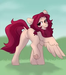 Size: 1497x1688 | Tagged: safe, artist:spoopygander, derpibooru import, oc, oc:crimm harmony, unofficial characters only, pegasus, pony, butt, dock, featureless crotch, image, lidded eyes, looking at you, looking back, plot, png, smiling, solo, spread wings, tail, underhoof, wings