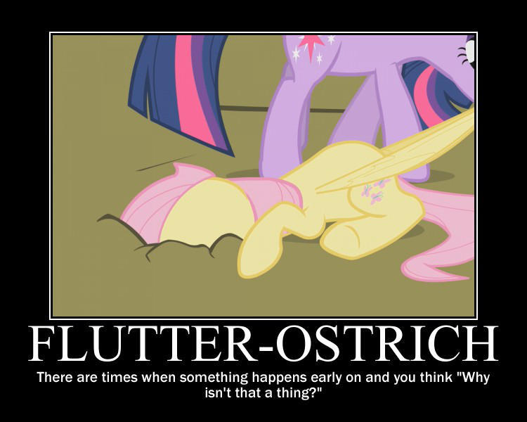 Size: 750x600 | Tagged: safe, artist:crossoverprincess, derpibooru import, edit, edited screencap, screencap, fluttershy, twilight sparkle, pegasus, pony, unicorn, dragging, female, image, jpeg, motivational poster, unicorn twilight