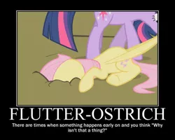 Size: 750x600 | Tagged: safe, artist:crossoverprincess, derpibooru import, edit, edited screencap, screencap, fluttershy, twilight sparkle, pegasus, pony, unicorn, dragging, female, image, jpeg, motivational poster, unicorn twilight