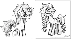 Size: 1600x889 | Tagged: safe, artist:skutchi, oc, unofficial characters only, earth pony, pony, unicorn, black and white, braid, grayscale, image, makelovepony, monochrome, png, simple background, sketch, white background