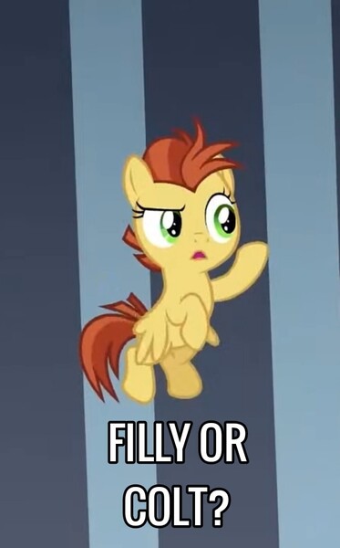 Size: 720x1157 | Tagged: safe, derpibooru import, edit, edited screencap, screencap, lemon crumble, pegasus, pony, the ending of the end, child, flying, friendship student, image, jpeg, question