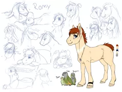 Size: 1600x1205 | Tagged: safe, artist:royvdhel-art, derpibooru import, oc, oc:romy, unofficial characters only, bird, earth pony, pony, bust, earth pony oc, female, image, jewelry, mare, necklace, partial color, png, reference sheet, simple background, smiling, story included, unshorn fetlocks, white background