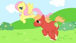 Size: 929x533 | Tagged: artist needed, safe, derpibooru import, big macintosh, fluttershy, earth pony, pegasus, pony, female, fluttermac, flying, image, jpeg, looking at each other, male, mare, missing accessory, running, shipping, smiling, smiling at each other, stallion, straight, wind, windswept mane