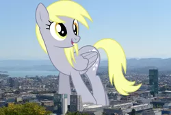 Size: 1920x1288 | Tagged: safe, derpibooru import, derpy hooves, pegasus, pony, derpyzilla, female, giant derpy hooves, giant pegasus, giant pony, giantess, highrise ponies, image, irl, macro, mare, mega giant, photo, png, ponies in real life, switzerland, zurich