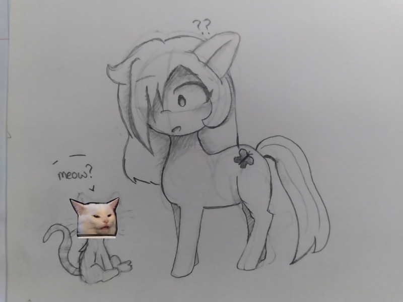 Size: 4096x3072 | Tagged: safe, artist:seylan, derpibooru import, oc, oc:araki, cat, pony, image, png, traditional art