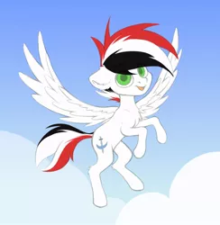 Size: 880x900 | Tagged: safe, artist:pollynia, derpibooru import, oc, oc:damien de fidel, unofficial characters only, pegasus, chest fluff, cloud, colored, ear fluff, flat colors, flying, image, jpeg, simple background, sky