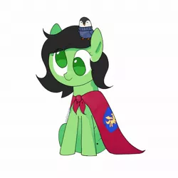 Size: 2048x2048 | Tagged: safe, artist:omelettepony, derpibooru import, oc, oc:anonfilly, pony, cape, clothes, cmc cape, derp, female, filly, image, jpeg, plushie, simple background, sitting, white background