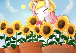 Size: 2046x1447 | Tagged: safe, artist:foxhatart, derpibooru import, oc, oc:taffy, pony, unicorn, female, flower, hat, image, jpeg, mare, solo, sunflower