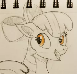 Size: 2048x1978 | Tagged: safe, artist:polar_storm, derpibooru import, apple bloom, earth pony, pony, female, filly, happy, image, jpeg, sketch, solo, traditional art