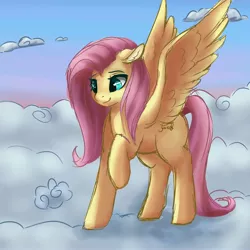 Size: 4096x4096 | Tagged: safe, artist:cocoasox, artist:csox, derpibooru import, fluttershy, pegasus, pony, cloud, female, image, jpeg, solo