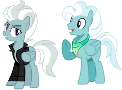 Size: 1280x940 | Tagged: safe, artist:venomous-cookietwt, derpibooru import, oc, unofficial characters only, pegasus, pony, clothes, female, image, jacket, male, mare, offspring, parent:fleetfoot, parent:silver lining, png, simple background, stallion, transparent background