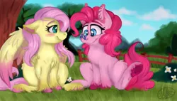 Size: 1300x740 | Tagged: safe, artist:millefaller, derpibooru import, fluttershy, pinkie pie, butterfly, earth pony, insect, pegasus, pony, blushing, chest fluff, colored wings, ear fluff, female, flutterpie, image, jpeg, lesbian, mare, outdoors, shipping, signature, sitting, smiling, two toned wings, unshorn fetlocks, wings