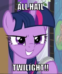 Size: 505x600 | Tagged: safe, derpibooru import, edit, edited screencap, editor:twi clown, screencap, twilight sparkle, twilight sparkle (alicorn), alicorn, pony, the summer sun setback, caption, cropped, evil grin, female, grin, image, image macro, mare, png, smiling, solo, text