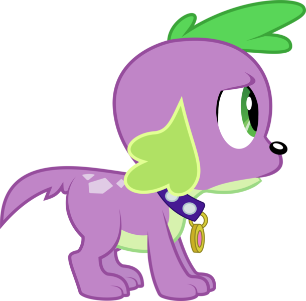 Size: 5996x5900 | Tagged: safe, artist:wissle, derpibooru import, spike, dog, equestria girls, absurd resolution, collar, image, insecure, male, png, simple background, solo, spike the dog, transparent background, uncertain, vector, worried