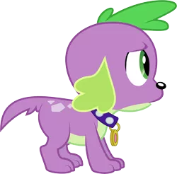 Size: 5996x5900 | Tagged: safe, artist:wissle, derpibooru import, spike, dog, equestria girls, absurd resolution, collar, image, insecure, male, png, simple background, solo, spike the dog, transparent background, uncertain, vector, worried