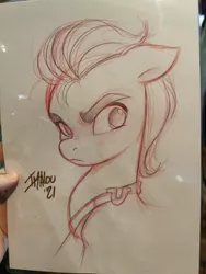 Size: 1536x2048 | Tagged: safe, artist:imalou, derpibooru import, sprout cloverleaf, earth pony, pony, belt, g5, image, jpeg, male, sketch, solo, stallion, traditional art