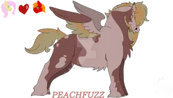 Size: 1280x720 | Tagged: safe, artist:gasmask-donkey, derpibooru import, big macintosh, fluttershy, oc, oc:peachfuzz, pegasus, pony, beard, belly fluff, chest fluff, coat markings, facial hair, female, fluttermac, hair over eyes, heart, image, male, offspring, parent:big macintosh, parent:fluttershy, parents:fluttermac, png, shipping, simple background, solo, stallion, straight, transparent background, unshorn fetlocks