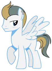 Size: 1176x1600 | Tagged: safe, artist:venomous-cookietwt, derpibooru import, oc, pegasus, pony, image, male, offspring, parent:high winds, parent:lightning streak, png, simple background, solo, stallion, transparent background