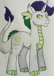 Size: 1280x1816 | Tagged: safe, artist:matbenetti17, derpibooru import, oc, oc:topaz, dracony, hybrid, horn, image, interspecies offspring, jpeg, male, offspring, parent:rarity, parent:spike, parents:sparity, solo, traditional art