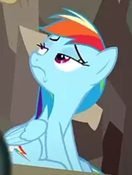 Size: 500x663 | Tagged: safe, derpibooru import, screencap, rainbow dash, daring done?, cropped, image, png, solo