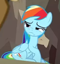 Size: 500x535 | Tagged: safe, derpibooru import, screencap, rainbow dash, daring done?, cropped, image, png, solo
