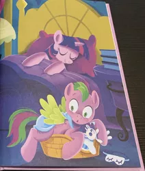Size: 602x709 | Tagged: source needed, safe, artist:anthony conley, derpibooru import, rarity, spike, twilight sparkle, twilight sparkle (alicorn), ponified, alicorn, pegasus, pony, a pony named spike, bed, book, crush plush, duo, image, jpeg, pet bed, plushie, ponified spike, rarity plushie, sleep mask, sleeping, species swap, spike's bed