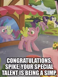 Size: 640x842 | Tagged: safe, artist:anthony conley, derpibooru import, edit, rarity, spike, twilight sparkle, twilight sparkle (alicorn), ponified, alicorn, pony, unicorn, a pony named spike, blushing, book, butt, caption, image, image macro, implied shipping, implied sparity, implied straight, jpeg, mirror, outdoors, plot, ponified spike, simp, solo focus, species swap, text